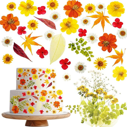 96 Pcs Natural Dried Pressed Flowers for Cake Topper Decorating Cupcake Toppers Cocktails Resin Jewelry Candle Soap Making DIY Art Crafts