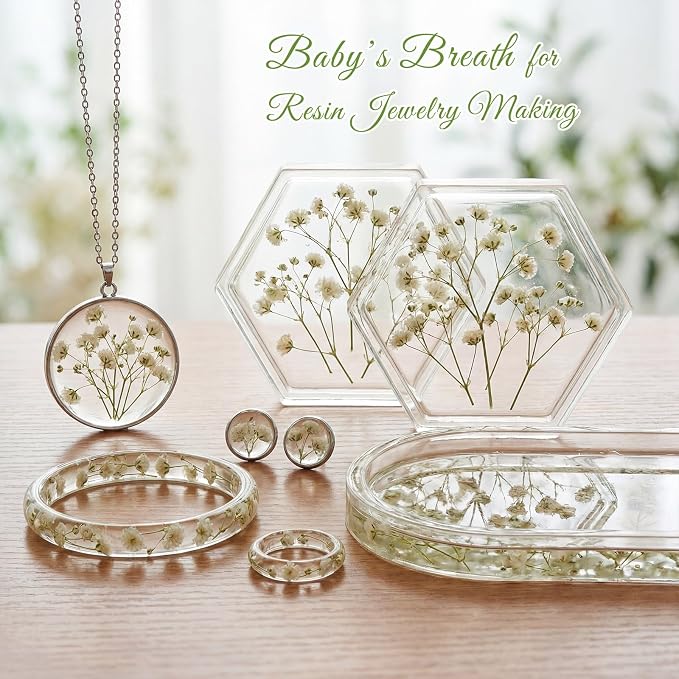 48 Pcs Natural Dried Pressed Mini Baby's Breath Flowers for Cake Decorating, Wedding Invitations, Real Dry Gypsophila Flower for Resin Jewelry Making, DIY Art Crafts(Baby's Breath)