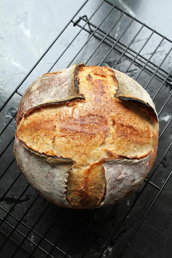 Lievito Madre Starter Culture - Authentic Italian Mother Yeast - Mild Sourdough from Italy for Natural Fermentation, Traditional Baker's Yeast Sourdough with Active Wild Natural Yeasts