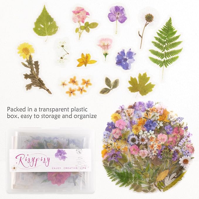 160pcs Pre-Cut Scrapbooks Natural Stickers, Floral and Plant Sticker for DIY Craft, Planners, Journal, Notebook, Laptop, Cell Phone, Calendars, Wedding Scrapbooking, PET Material, Colorful