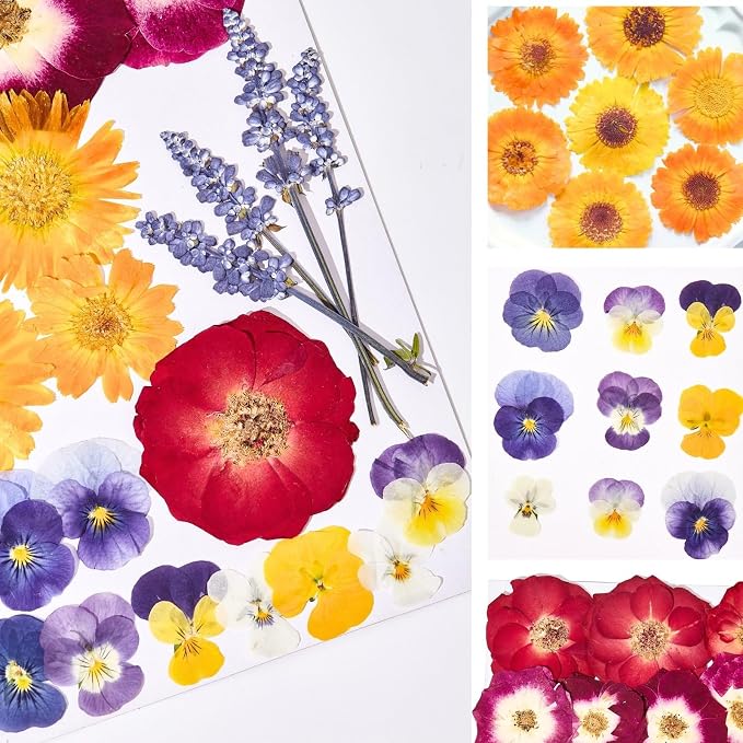 70 Pcs Edible Flowers for Cocktails & Cake Decorating – Real Dried Edible Flowers Cupcake Toppers, Food Grade Edible Pressed Flowers for Drinks, Garnish & Crafts (Pansies, Rose, Calendula, Lavender)