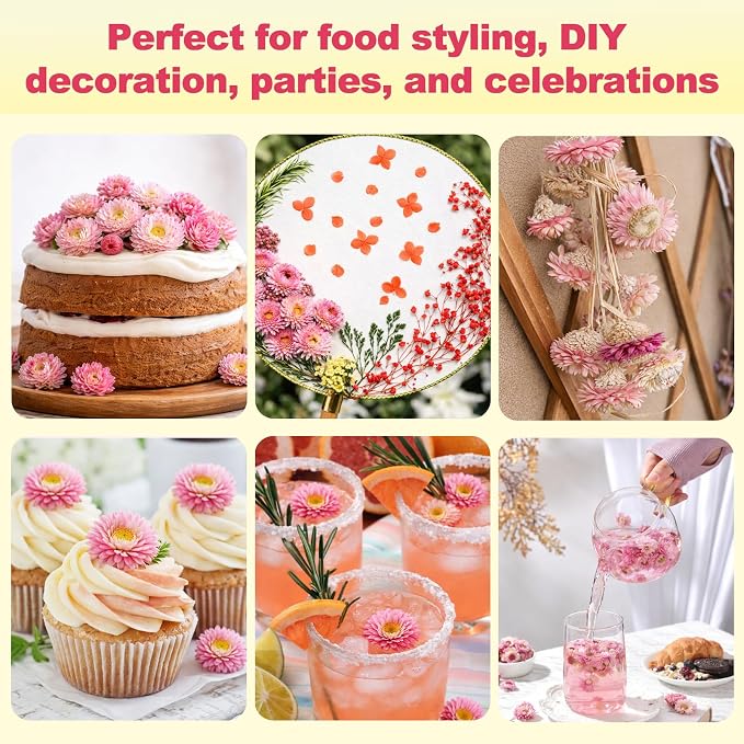 50+ Edible Dried Flowers for Cake Decorations - Food Grade Dried Pink Strawflower Blooms for Cocktail Garnish & Cupcakes, Drink Toppers, DIY Crafts