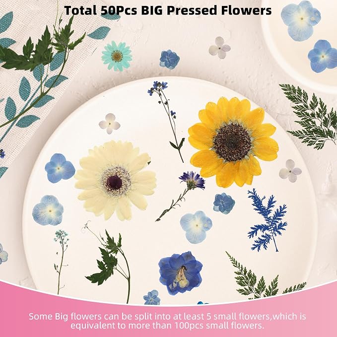 12“ Large Bulk Summer Dried Pressed Flowers for Glass Frame, Real Dry Natural Flower Leaf Daisy for Resin Mold, Cake Decor, Phone Cases (Calm Blue)