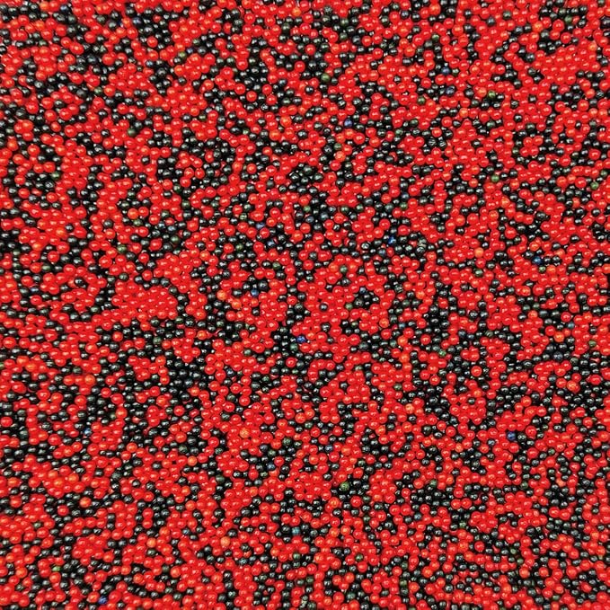 EPHVODI Black Red Halloween Sprinkles Nonpareils Sprinkles Edible Mini Pearl Sprinkle for Cake Decorations, Baking, Ice Cream, Cookies, Donuts and Lollipops - 2mm Sugar Pearls 3.88oz