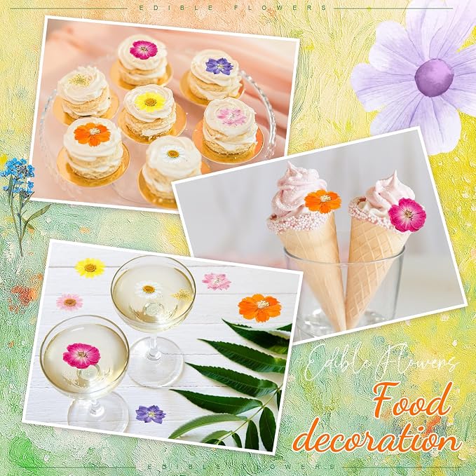 96 Pcs Natural Dried Pressed Flowers for Cake Topper Decorating Cupcake Toppers Cocktails Resin Jewelry Candle Soap Making DIY Art Crafts