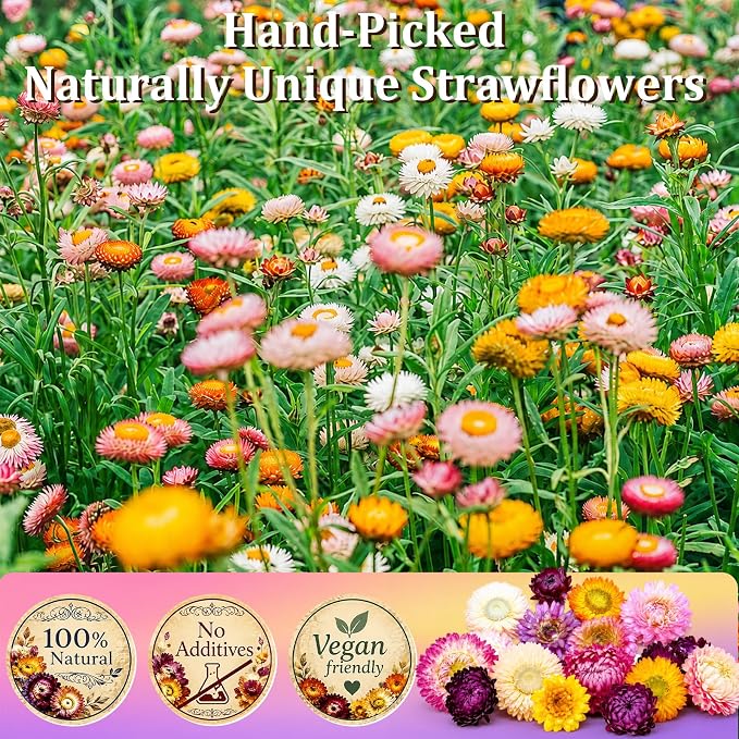 130+ Edible Dried Mixed Flowers for Cake Decorations - Food Grade Natural Color Strawflower, Dried Flower for Drink Toppers, Cocktail Garnish, Cupcakes & DIY Crafts