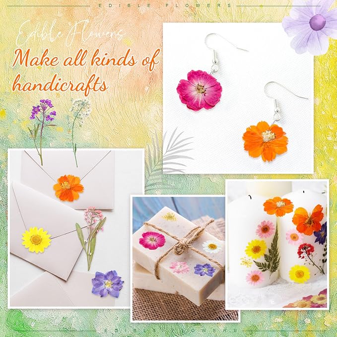 96 Pcs Natural Dried Pressed Flowers for Cake Topper Decorating Cupcake Toppers Cocktails Resin Jewelry Candle Soap Making DIY Art Crafts