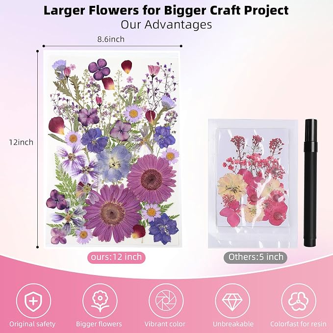 12“ Large Bulk Dried Pressed Flowers for Glass Frame, Real Dry Natural Flower Leaf for Resin Mold, Cake Decor, Holiday Decorations, Phone Cases, Invitations (Purple Haze)