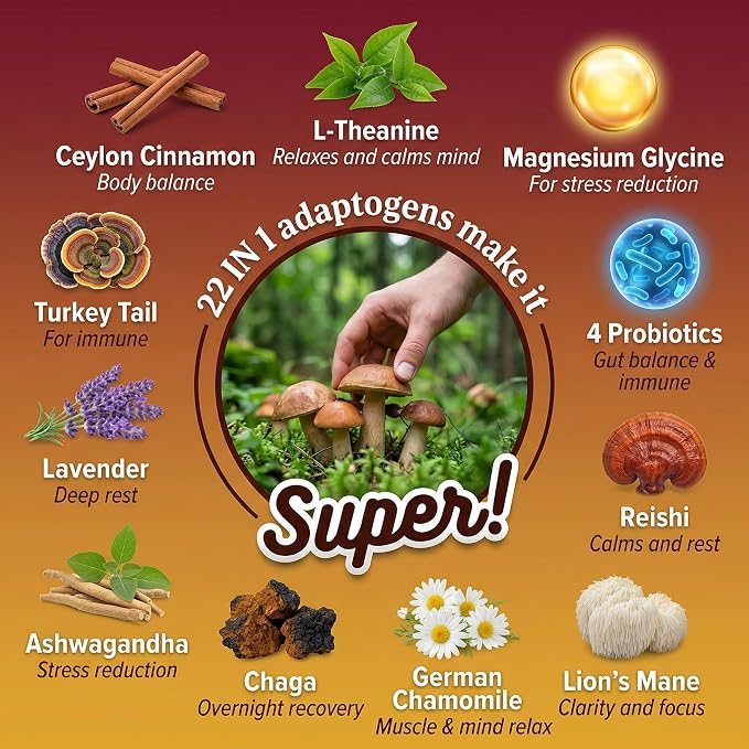 Mushroom Hot Cocoa Powder with Magnesium Glycinate, L-Theanine, Ashwagandha, Reishi, Probiotics, Cacao Powder Organic Hot Chocolate Supplement for Sleep, Relax, Digestion, Vegan 2-Pack
