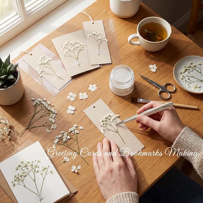 48 Pcs Natural Dried Pressed Mini Baby's Breath Flowers for Cake Decorating, Wedding Invitations, Real Dry Gypsophila Flower for Resin Jewelry Making, DIY Art Crafts(Baby's Breath)