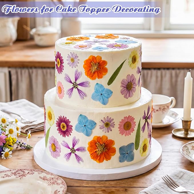 96 Pcs Natural Dried Pressed Flowers for Cake Topper Decorating Cupcake Toppers Cocktails Resin Jewelry Candle Soap Making DIY Art Crafts