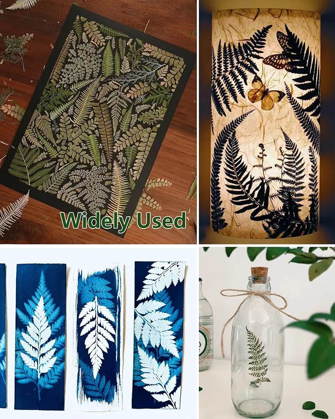 48 Pcs Mix Natural Dried Pressed Ferns for Cake Decorating, Real Dried Greenery for Resin Jewelry Making, DIY Art Crafts (Fern)