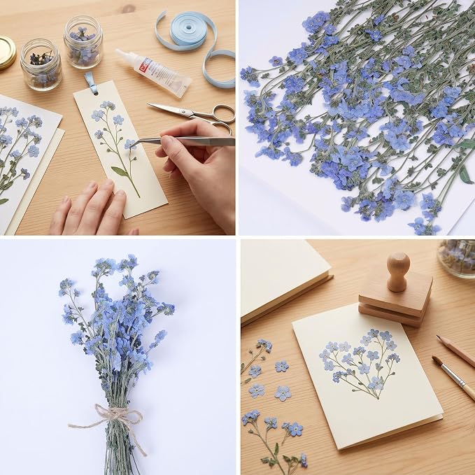 48 Pcs Natural Dried Pressed Forget-me-not Flowers for Wedding Cake Decorating, Real Dry Flower for Resin Jewelry Making, DIY Bookmarks Art Crafts(Forget-me-not)
