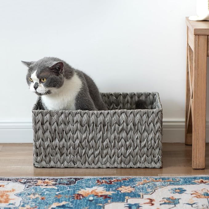 JS HANGER Large Woven Rattan Storage Basket with Handle for Organizing Waterproof Plastic Wicker Basket for Bathroom, Living Room 16.53’’ x 12.8’’ x 7.5’’ Grey