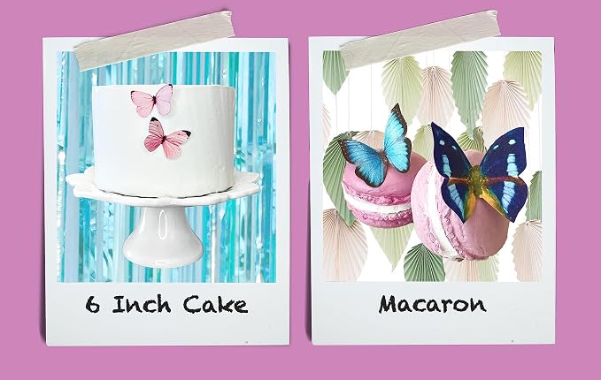 Sugar Robot Inc. Edible Butterflies Small Size Premium Crafted Made in the USA Cake and Cupcake Toppers, Decoration (Rainbow)