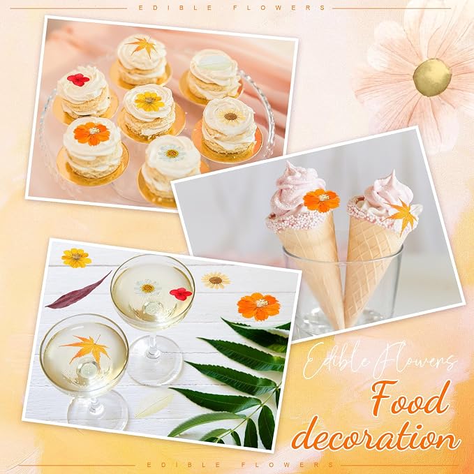 96 Pcs Natural Dried Pressed Flowers for Cake Topper Decorating Cupcake Toppers Cocktails Resin Jewelry Candle Soap Making DIY Art Crafts