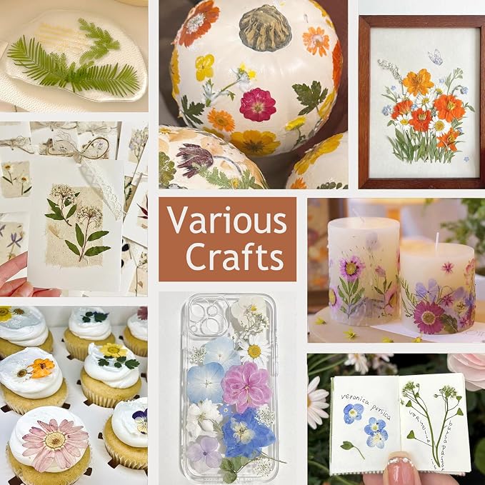 48 Pcs Mix Natural Dried Pressed Flowers for Cake Decorating, Real Dry Flower for Resin Jewelry Making, DIY Art Crafts (Lovely)