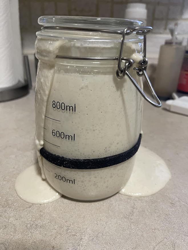 The Yeast We Can Do Dehydrated Sourdough Starter Kit – 3 Pack Active Dry Starter Culture (75g Total) – Fast Activation, Long Shelf Life, Never Lose Your Starter – Easy Bread Baking, No Commercial Yeast, Made in USA