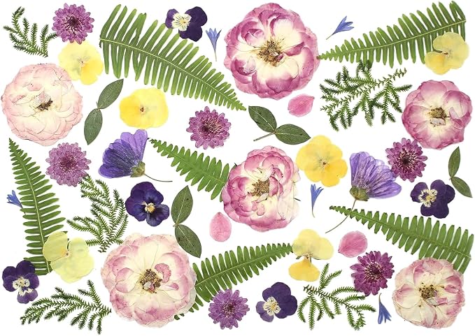 48 Pcs Mix Natural Dried Pressed Flowers for Cake Decorating, Real Dry Flower for Resin Jewelry Making, DIY Art Crafts (Lovely)