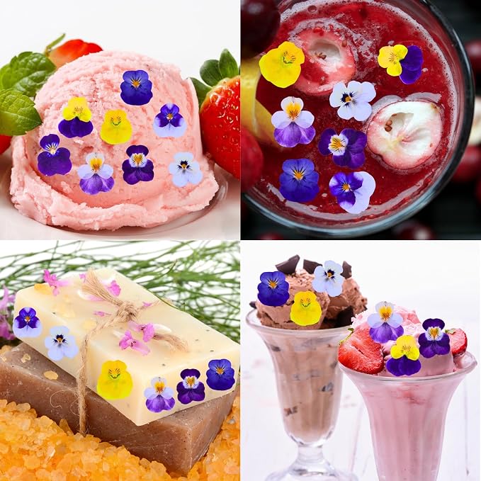 PureHabitat 60 Pcs 10 Colors Natural Dried Pressed Edible Viola Tricolor Flowers for Cake Topper Decoration – for Cupcake Toppers Cocktails Resin Jewelry DIY Crafts (Purple)