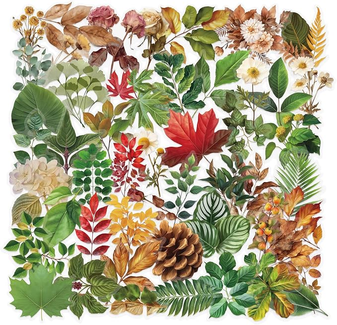 50 Pcs Transparent Green Plant Stickers Vinyl Waterproof Aesthetic Trendy Decals forNature Plant Floral Vintage Craft Colorful,Adults,Water Bottles,Laptop,Phone,Plant Enthusiast(Green Plant)