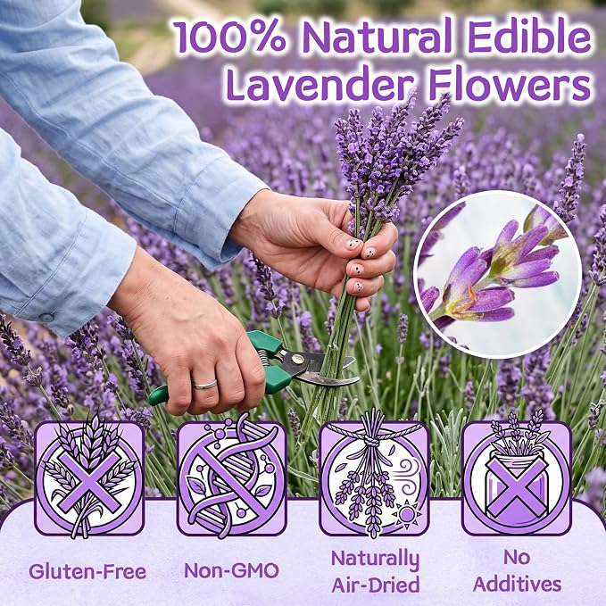 160+ Edible Lavender Sprigs for Cocktails & Dessert, 6.69'' Edible Flowers for Drinks Garnish Tea DIY Craft, Food Grade Culinary Lavender Flower Bud 2.3 oz(65 g)