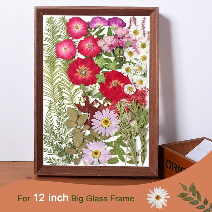 A5 Large Bulk Christmas Dried Pressed Flowers for Christmas Decor, Real Dry Natural Flower Leaf Daisy for Resin Mold, Cake Decor, Phone Cases ( Romantic Rose)