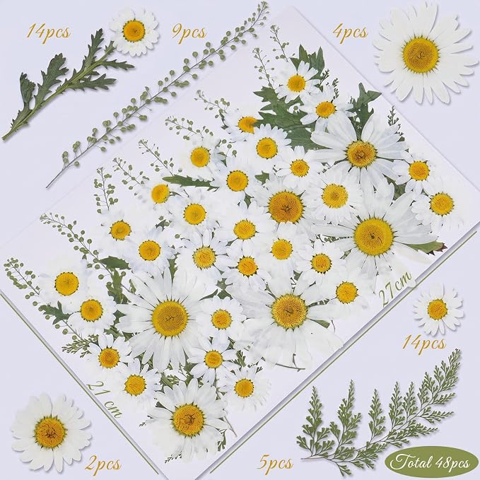 48 Pcs Natural Dried Pressed Daisy Flowers for Cake Decorating, Birthday Party Favors, Real Dry Daisies for Cupcakes, Resin Jewelry Making, DIY Art Crafts(Daisy)