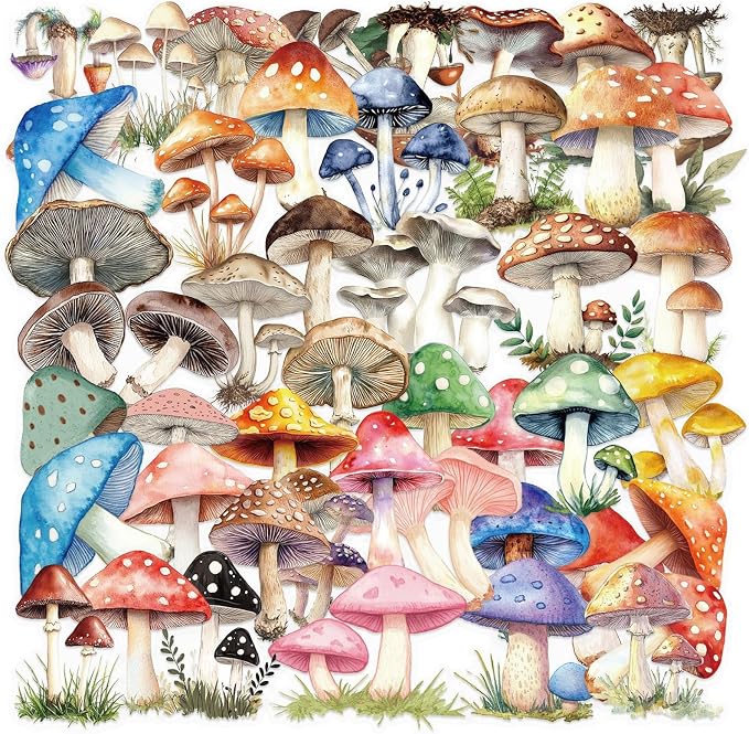 Transparent Mushroom Stickers,50pcs Vintage Mushroom Sticker Waterproof PET Stickers for Scrapbook Journaling Photo Album Collage Card Nature Colorful Agaric Sticker for Teens and Adults(colourful-B8)