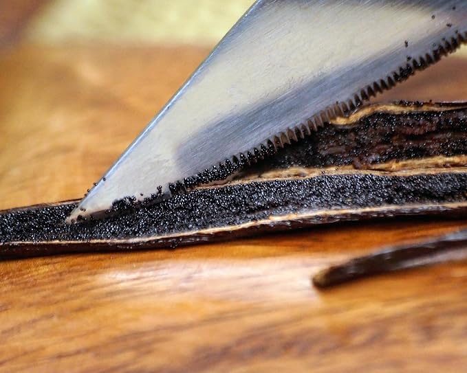 10 Organic Madagascar Whole Grade A Vanilla Pods for Vanilla Extract and Baking