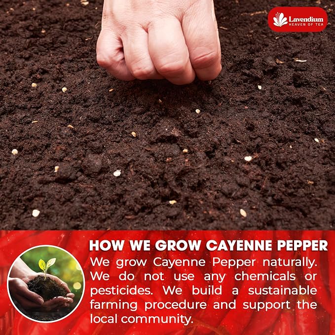 Lavendium, Premium 25oz Cayenne Pepper Powder, 100% Natural & Pure Ground Cayenne Pepper, No Additives or Preservatives, Non-GMO, Plant-Based & Vegan, Perfect for Seasoning, Marinades, Chili & BBQ Rubs