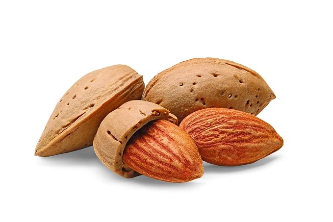 Watkins All Natural Extract, Almond, 2 Fl Oz (Pack of 12) (Packaging may vary)