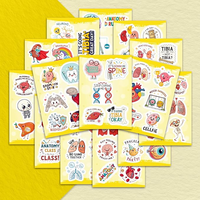 100Pcs Anatomy Stickers for Laptop, Water Bottle - Body Part Stickers Vinyl - Medical, Health Deals - Human Anatomy Gifts for Man & Woman - Sonography, Radiology, Healthcare, Nurse, Bone Decals