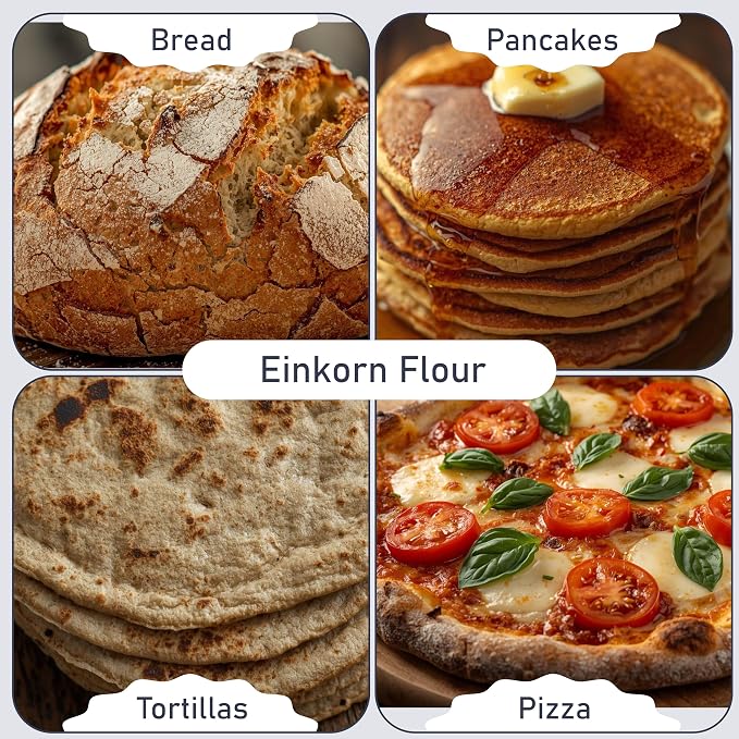 Great River Organic Milling Organic Einkorn Flour | Ancient Whole Wheat Flour | Non-GMO, Kosher, High-Protein | Nutrient-Rich, Healthier All-Purpose Flour Alternative for Baking | 25 Lb (Pack of 1)