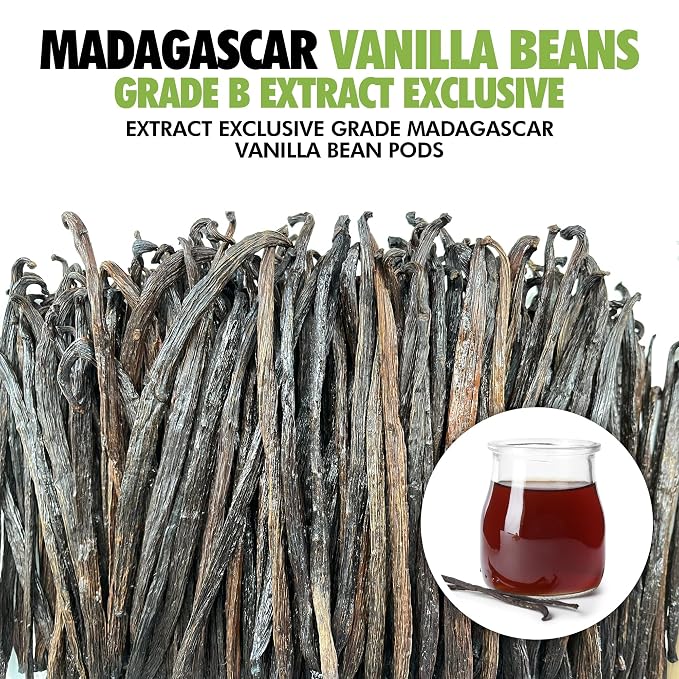 55 Organic Madagascar Vanilla Extract Exclusive Grade B Beans| 4" - 5" by FITNCLEAN VANILLA| Certified USDA Organic. Bulk Dry Whole Bourbon NON-GMO Pods