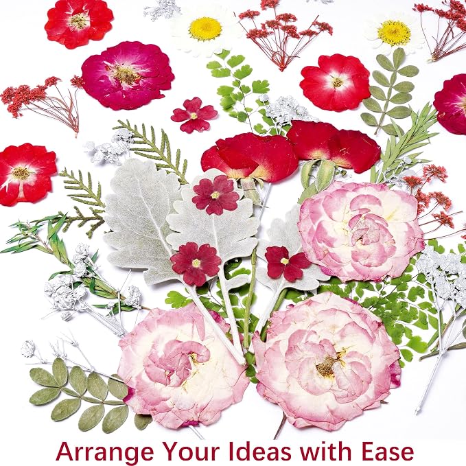 48 Pcs Mix Natural Dried Pressed Flowers for Cake Decorating, Real Dry Flower for Resin Jewelry Making, DIY Art Crafts (Rose)