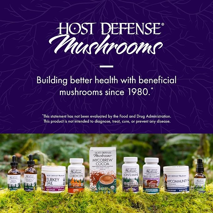 Host Defense MycoBrew Cocoa - Cocoa Drink Mix Includes Lion's Mane Mushroom Powder - Superfood Powder Drink Mix with Fair Trade Certified Chocolate - 10 Packets (10 Servings)