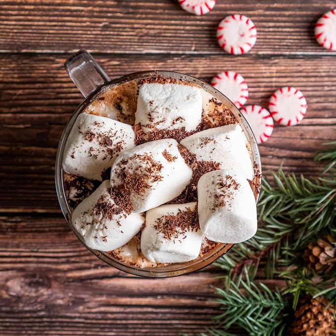 Bare Life Organic Peppermint Hot Cocoa Mix, Dairy Free Hot Cocoa Mix, Vegan Hot Chocolate Powder, Gluten Free, Kosher Pareve, Just Add Hot Water, 9.52 oz Pouch