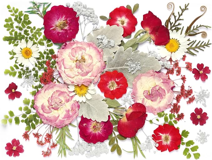 48 Pcs Mix Natural Dried Pressed Flowers for Cake Decorating, Real Dry Flower for Resin Jewelry Making, DIY Art Crafts (Rose)