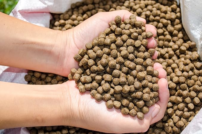 | Premium Floating Fish Food | Pond and Lake | Pellets | 2 Pounds