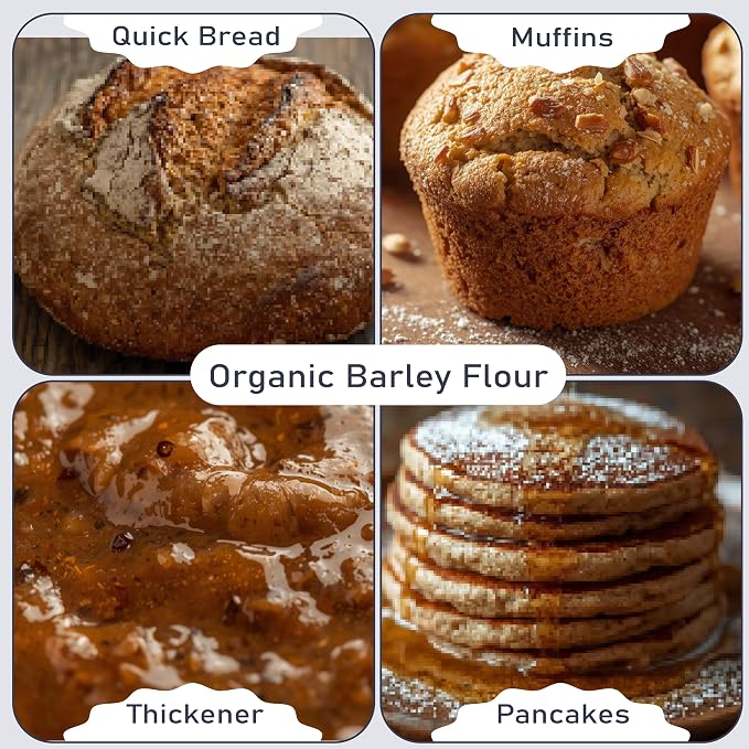 Great River Milling Organic Barley Flour | Unbleached, Unbromated, Non-GMO, Kosher | High Fiber, Nutty Flavor Perfect for Breads, Pancakes, & More | 25 Lb
