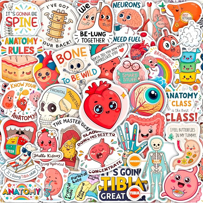 100Pcs Anatomy Stickers for Laptop, Water Bottle - Body Part Stickers Vinyl - Medical, Health Deals - Human Anatomy Gifts for Man & Woman - Sonography, Radiology, Healthcare, Nurse, Bone Decals