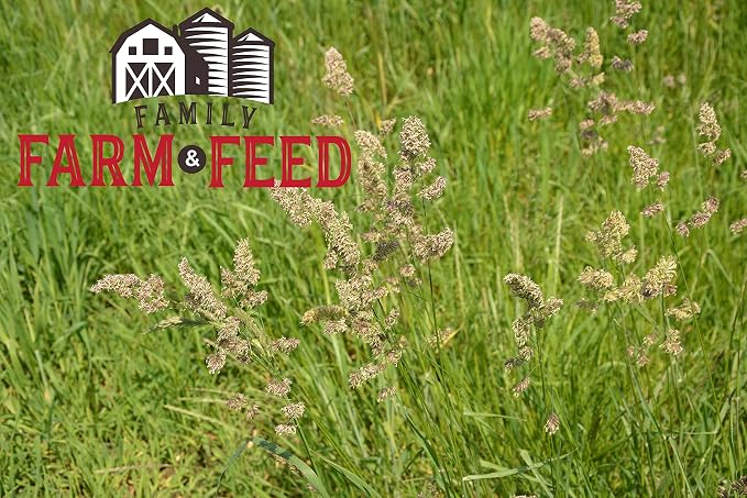 | Timothy Grass Food | Small Pet | Young and Adult | Cubes | 3 Pounds
