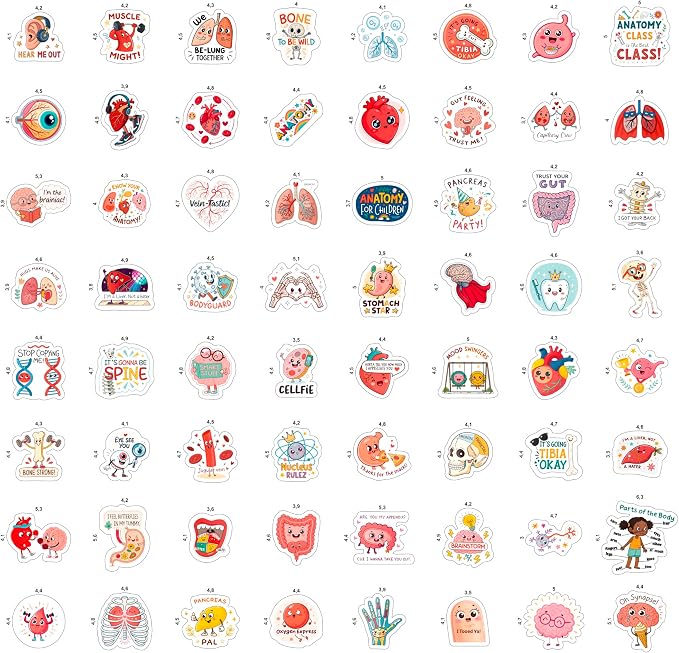 100Pcs Anatomy Stickers for Laptop, Water Bottle - Body Part Stickers Vinyl - Medical, Health Deals - Human Anatomy Gifts for Man & Woman - Sonography, Radiology, Healthcare, Nurse, Bone Decals