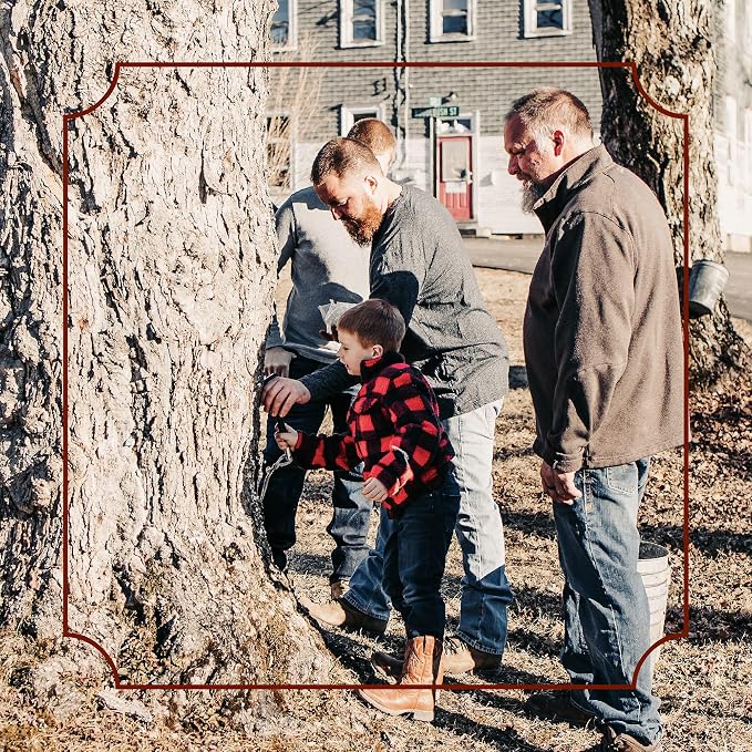 Frost Ridge Maple Farm Powdered Granulated Organic Maple Sugar, Grade A, 8 oz.