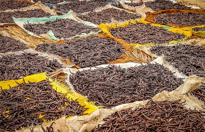 1/2 LB Organic Madagascar Vanilla Beans - Whole Extract Grade B Pods for Baking, Homemade Extract, Brewing, Coffee, Cooking - 8 Ounces
