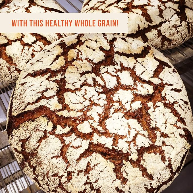 100% Organic Whole Dark Rye Flour - 25 lbs…