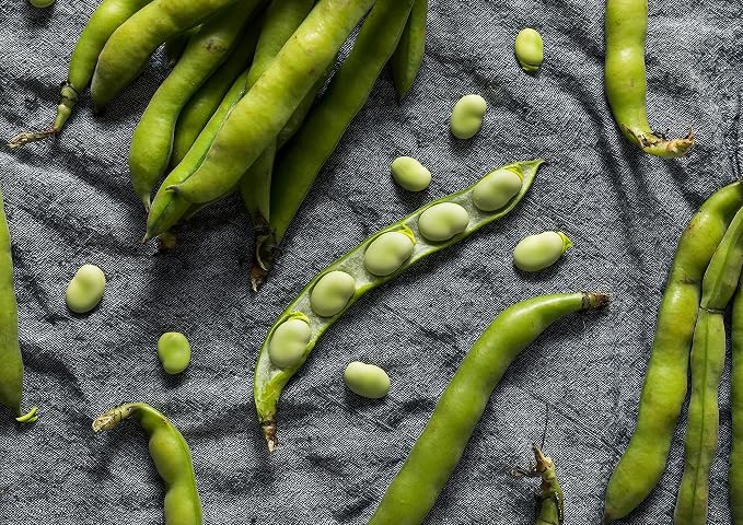 Food to Live Organic Fava Bean Flour, 8 Pounds – Non-GMO, Finely Ground, Pure, Raw, Vegan, Bulk. Good Source of Protein & Fiber. Highly Nutritious. Great for Baking Bread, Pizza and Home Made Pasta